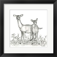 Framed Watercolor Pencil Forest X-Deer Family