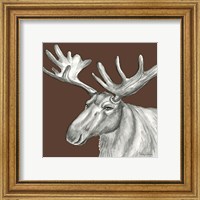 Framed 'Watercolor Pencil Forest color I-Moose' border=