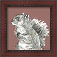 Framed 'Watercolor Pencil Forest color IV-Squirrel' border=