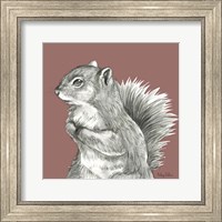 Framed 'Watercolor Pencil Forest color IV-Squirrel' border=