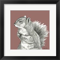 Framed 'Watercolor Pencil Forest color IV-Squirrel' border=