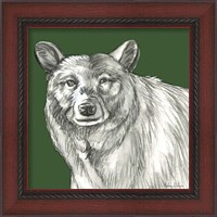 Framed 'Watercolor Pencil Forest color V-Bear' border=