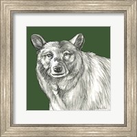 Framed 'Watercolor Pencil Forest color V-Bear' border=