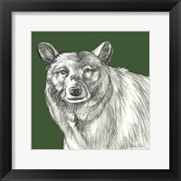 Framed 'Watercolor Pencil Forest color V-Bear' border=