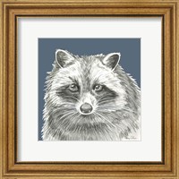 Framed 'Watercolor Pencil Forest color VI-Raccoon' border=