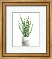 Framed 'Potted Exotics I' border=