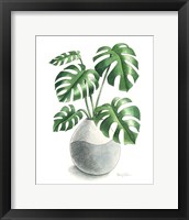 Potted Exotics II Framed Print