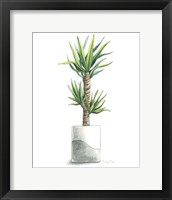 Potted Exotics III Framed Print