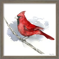 Framed 'Birds & Branches I-Cardinal' border=