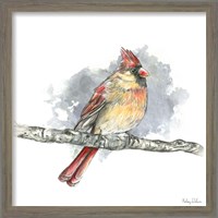 Framed 'Birds & Branches II-Female Cardinal' border=