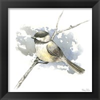 Framed 'Birds & Branches III-Chickadee' border=