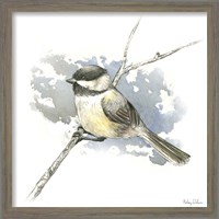 Framed 'Birds & Branches III-Chickadee' border=