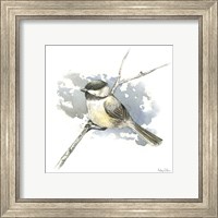 Framed 'Birds & Branches III-Chickadee' border=