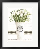 White Tulips Framed Print