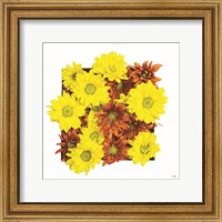 Framed 'Floral Pop III' border=