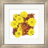 Framed 'Floral Pop III' border=