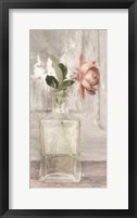 Framed Cottage Peach Rose