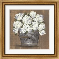 Framed 'Heavenly Hydrangeas I' border=