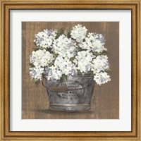 Framed 'Heavenly Hydrangeas I' border=