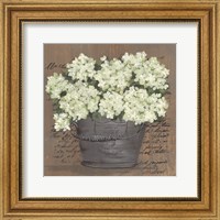 Framed 'Heavenly Hydrangeas II' border=