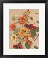 Antique Botanical Collection 2 Framed Print