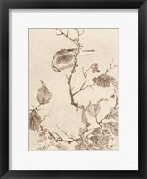 Sumi Ink Study 1 Framed Print