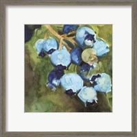 Framed 'Blueberries 1' border=