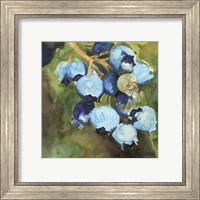 Framed 'Blueberries 1' border=