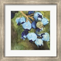 Framed 'Blueberries 1' border=