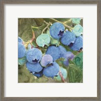 Framed 'Blueberries 2' border=