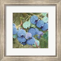 Framed 'Blueberries 2' border=