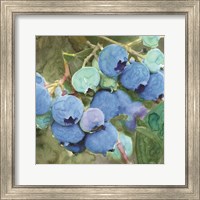 Framed 'Blueberries 2' border=