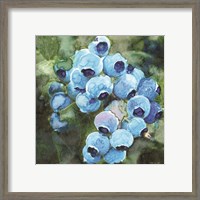 Framed 'Blueberries 3' border=