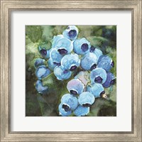 Framed 'Blueberries 3' border=