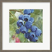 Framed 'Blueberries 4' border=