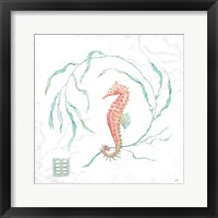 Framed 'Delicate Sea III' border=