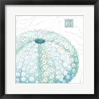 Delicate Sea VIII Framed Print