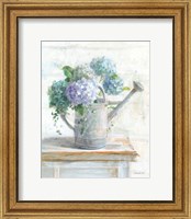 Framed 'Morning Hydrangeas II' border=