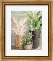 Framed 'Indoor Garden III' border=