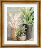 Framed 'Indoor Garden III' border=