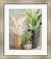 Framed 'Indoor Garden III' border=