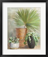 Indoor Garden II Framed Print