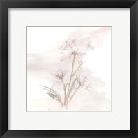 Framed 'Queen Annes Lace IV' border=
