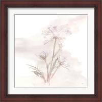 Framed 'Queen Annes Lace IV' border=