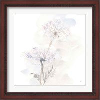 Framed 'Queen Annes Lace III' border=