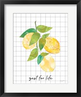 Framed Summer Lemons Sentiment I