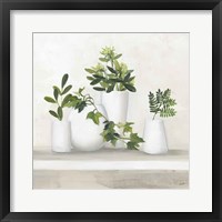 Plant Life III Framed Print