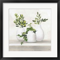 Plant Life II Framed Print