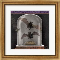 Framed 'Apothecary Noir IV' border=