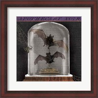 Framed 'Apothecary Noir IV' border=